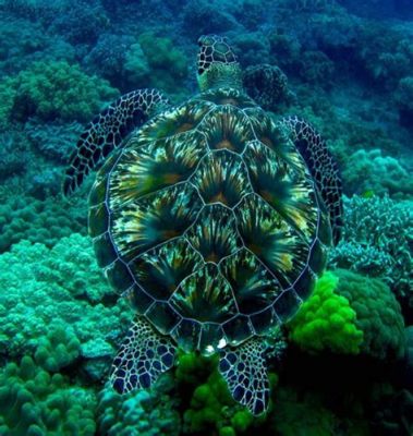  Éléphant de mer: Un majestueux escargot des mers profondes capable d’effectuer un camouflage incroyable et fascinant !