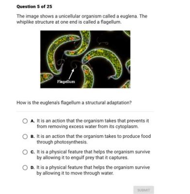 Euglena: Un organisme unicellulaire étonnant capable de photosynthèse et de mouvement grâce à un flagelle!